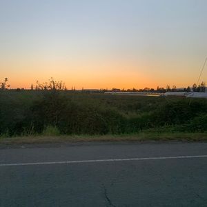 Meet your Posher, Judy